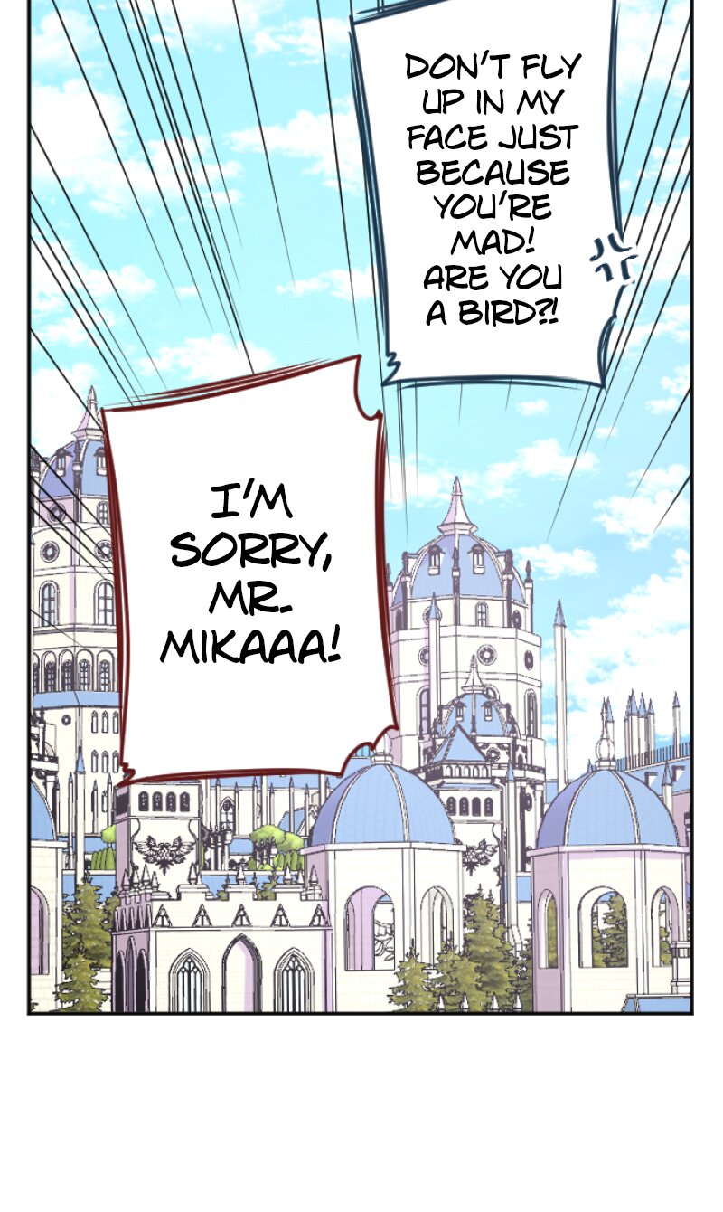 60362008 800 1340 202589